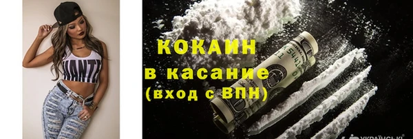 прущие грибы Елизово