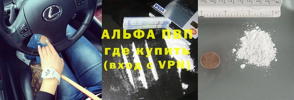 прущие грибы Елизово