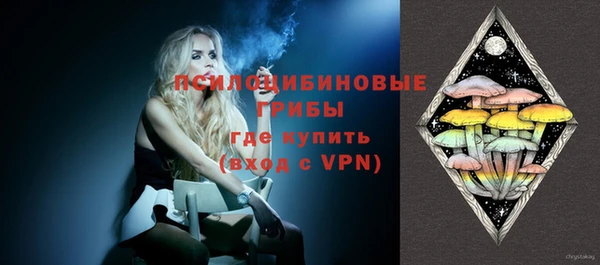 прущие грибы Елизово