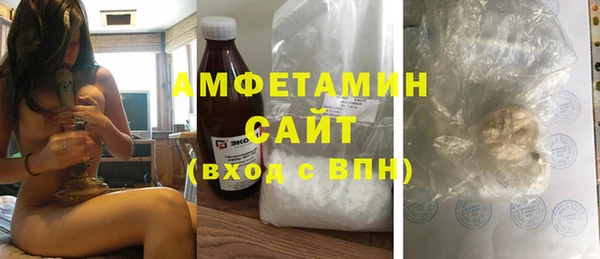 прущие грибы Елизово