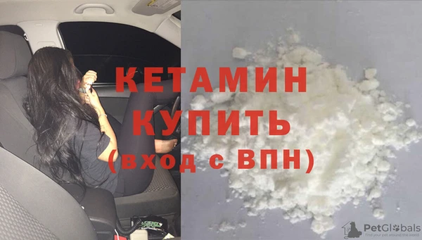 прущие грибы Елизово