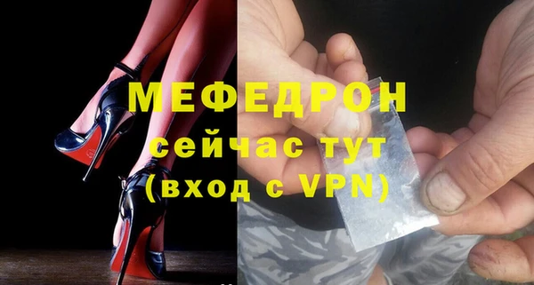 стафф Ельня