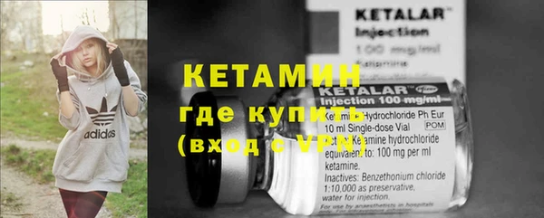 стафф Ельня