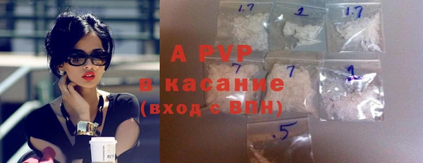прущие грибы Елизово