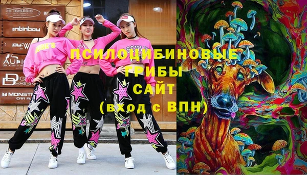 прущие грибы Елизово