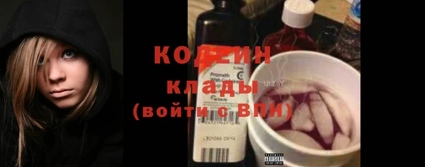прущие грибы Елизово
