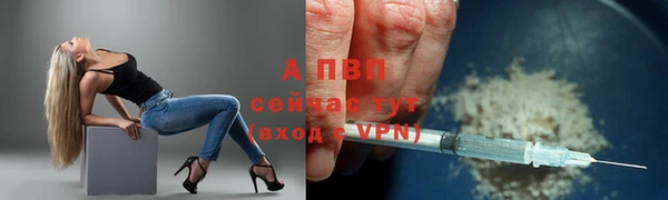 стафф Ельня