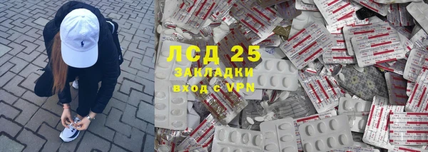 стафф Ельня