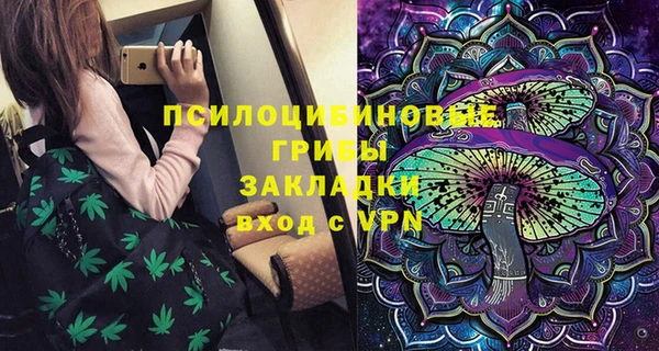 прущие грибы Елизово