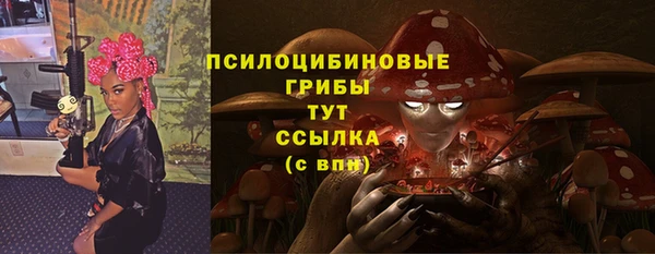 прущие грибы Елизово