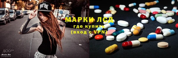 прущие грибы Елизово